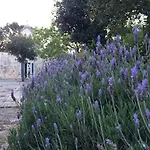 Hébergement de vacances Al Trullo Sovrano *